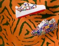 Christian-Louboutin-feature1jpg