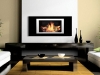 the bio flame fireplace