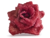 2. Red rose stabilized and crystallized in sugar.