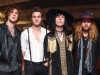 The Struts