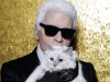 Photos Courtesy Of www.instagram.com/karllagerfeld