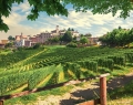 The village of Neive | Photo Courtesy Of Visitpiemonte