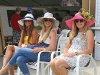 spectators enjoy the view at the toronto polo club