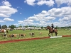 the annual polo for heart celebrates its 35th anniversary this year