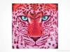 Pink Leopard by Sabrina Rupprecht