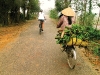 vietnam banana picking bike ride nathanlane
