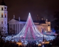 vilnius-tree-2-min