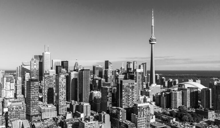 THE 2024 BILD AWARD WINNERS